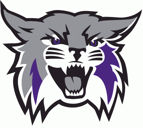 Weber State Wildcats iron ons